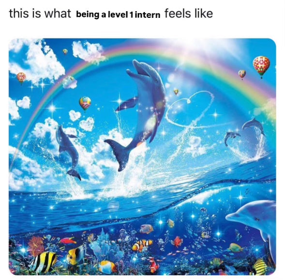 Summer Internship 2026