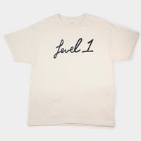 Script T